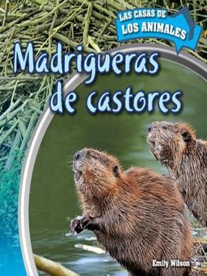 cover image of Madrigueras de castores (Inside Beaver Lodges)